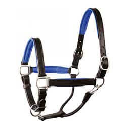Leather Soft Padded Horse Halter Black/Blue - Item # 45954