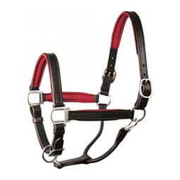 Leather Soft Padded Horse Halter Black/Red - Item # 45954