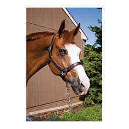 Leather Soft Padded Horse Halter Black/Red - Item # 45954