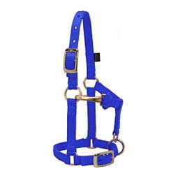 Mini Nylon Halter Blue - Item # 46074