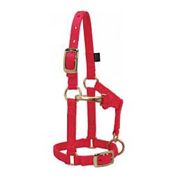 Mini Nylon Halter Red - Item # 46074