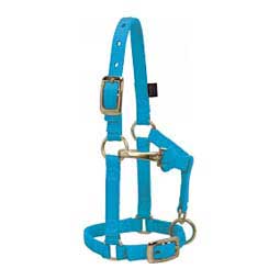 Mini Nylon Halter Hurricane Blue - Item # 46074