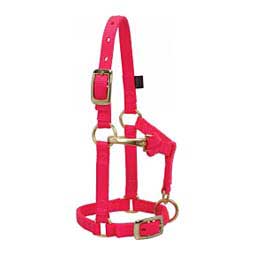 Mini Nylon Halter Diva Pink - Item # 46074