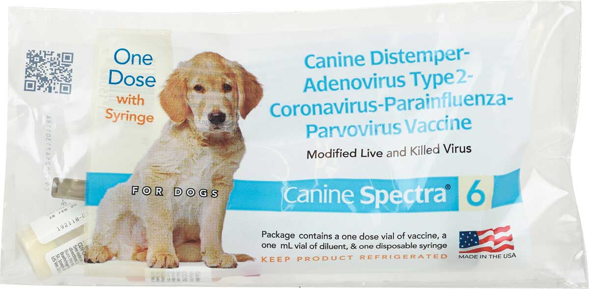 Canine Spectra 6 Dog Vaccine Durvet - Dog Vaccines ...