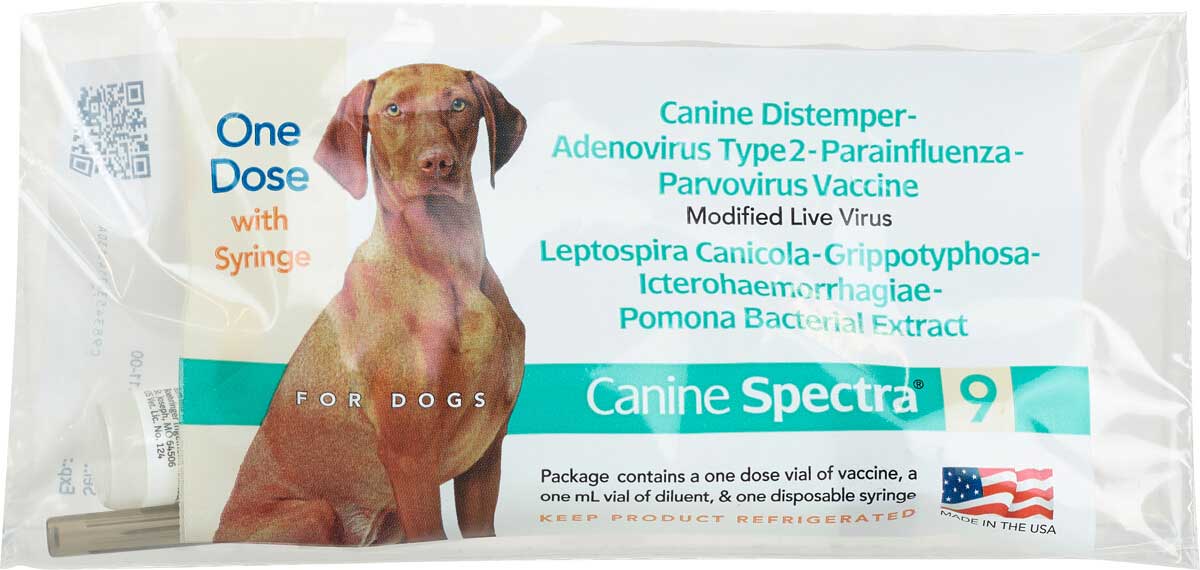 Canine Spectra Dog Vaccine | ubicaciondepersonas.cdmx.gob.mx