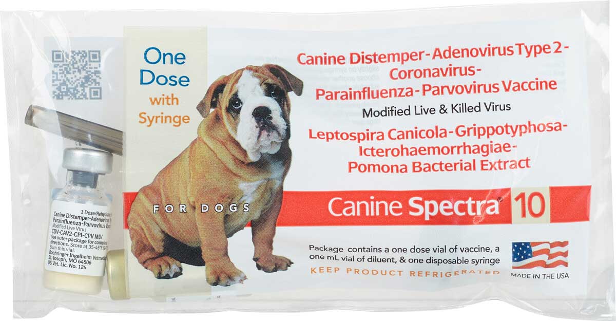 Canine Spectra 10 Dog Vaccine Durvet - Dog Vaccines | Vaccines | Pet