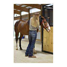 Every Day Boot Cut Womens Jeans Dark Stone - Item # 46259