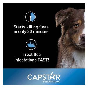 Capstar Oral Flea Tablets for Dogs 25 lbs plus (6 ct) - Item # 46268