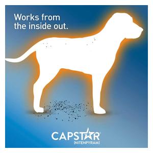 Capstar Oral Flea Tablets for Dogs 25 lbs plus (6 ct) - Item # 46268