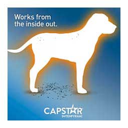 Capstar Oral Flea Tablets for Dogs 6 ct (25 lbs plus) - Item # 46268