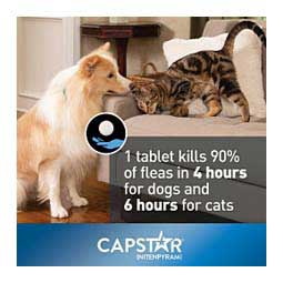 Capstar Oral Flea Tablets for Dogs 25 lbs plus (6 ct) - Item # 46268