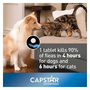 Capstar Oral Flea Tablets for Dogs 25 lbs plus (6 ct) - Item # 46268
