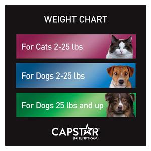 Capstar Oral Flea Tablets for Dogs 25 lbs plus (6 ct) - Item # 46268