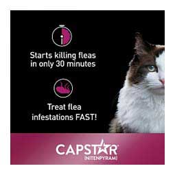 Capstar Flea Tablets for Cats 6 ct (2-25 lbs) - Item # 46269