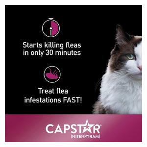 Capstar Flea Tablets for Cats 2-25 lbs (6 ct) - Item # 46269