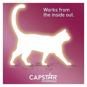 Capstar Flea Tablets for Cats 2-25 lbs (6 ct) - Item # 46269