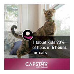 Capstar Flea Tablets for Cats 6 ct (2-25 lbs) - Item # 46269