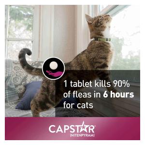 Capstar Flea Tablets for Cats 2-25 lbs (6 ct) - Item # 46269
