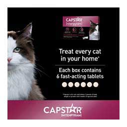 Capstar Flea Tablets for Cats 6 ct (2-25 lbs) - Item # 46269
