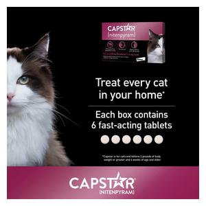 Capstar Flea Tablets for Cats 2-25 lbs (6 ct) - Item # 46269