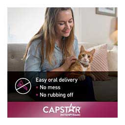 Capstar Flea Tablets for Cats 6 ct (2-25 lbs) - Item # 46269
