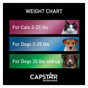 Capstar Flea Tablets for Cats 2-25 lbs (6 ct) - Item # 46269