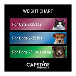Capstar Flea Tablets for Cats 6 ct (2-25 lbs) - Item # 46269
