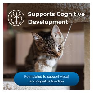 KMR Healthy Development Kitten Weaning Nutritional Support 14 oz - Item # 46366