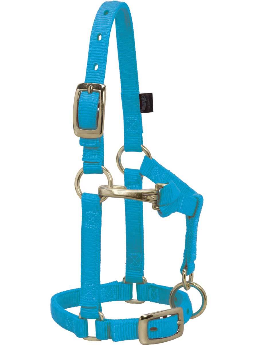 halter mini