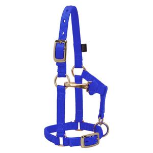 Mini Nylon Halter Blue - Item # 46368