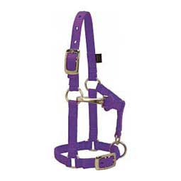 Personalized Mini Nylon Halter Purple - Item # 46368