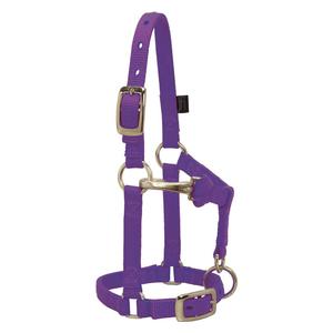 Mini Nylon Halter Purple - Item # 46368