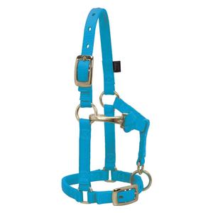 Mini Nylon Halter Hurricane Blue - Item # 46074