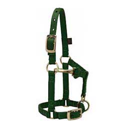 Personalized Mini Nylon Halter Hunter Green - Item # 46368