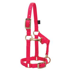 Mini Nylon Halter Diva Pink - Item # 46368