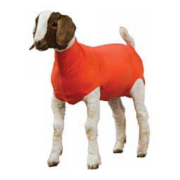 Spandex Goat Tube Orange - Item # 46417