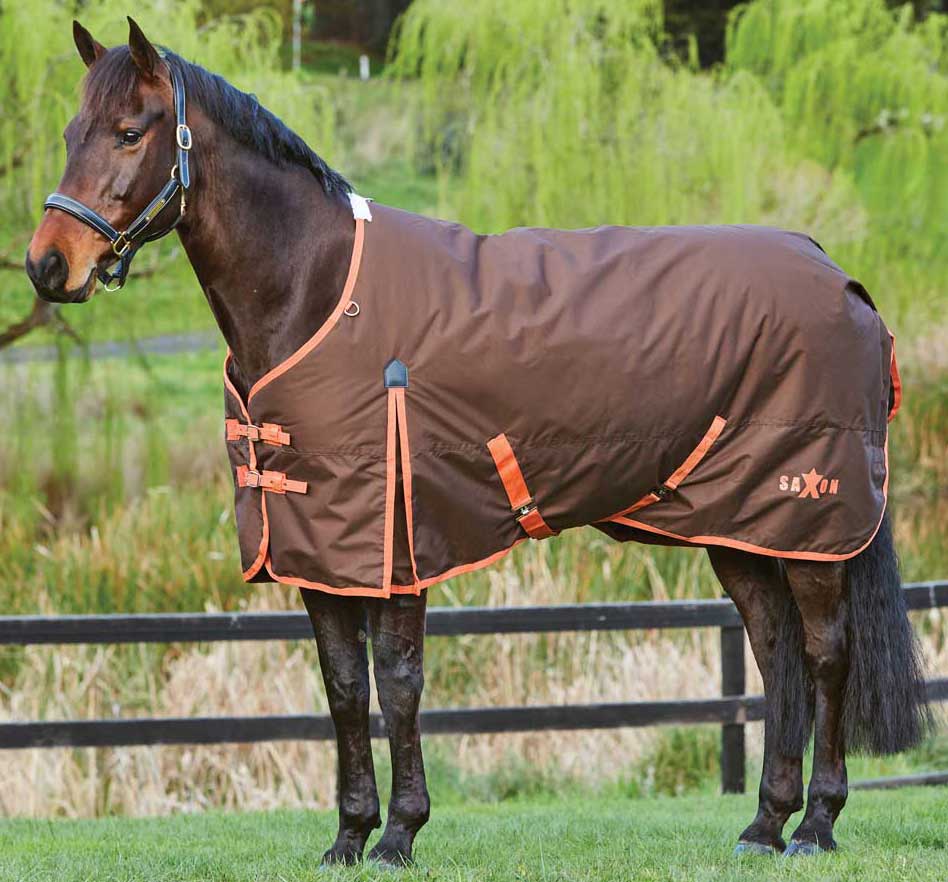 Saxon 600 Denier Medium Standard Neck Horse Blanket Weatherbeeta