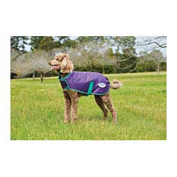 Comfitec Premier Freedom Parka Dog Coat Bright Purple/Green - Item # 46642C