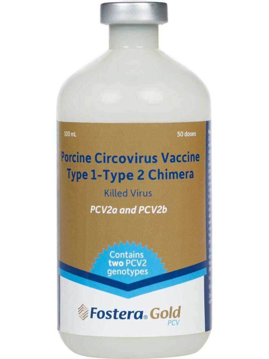 fostera-gold-pcv-metastim-swine-vaccine-zoetis-animal-health