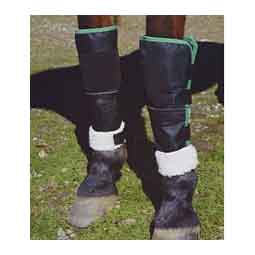Knee Shield for Horses Black - Item # 46751