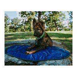 Elevation Dog Collar Lime/Green - Item # 46782
