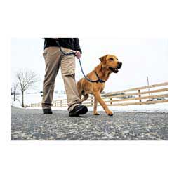 Rope Slip Dog Lead Navy/Blue - Item # 46795