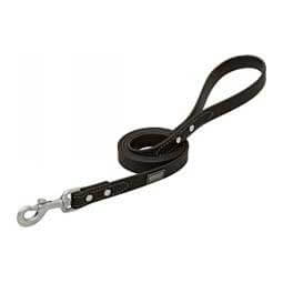 X-Treme Adventure Soft Grip Dog Leash Black - Item # 46797
