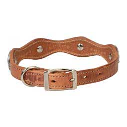 Texas Star Leather Dog Collar 3/4'' x 17'' - Item # 46807