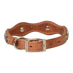 Texas Star Leather Dog Collar 3/4'' x 15'' - Item # 46807
