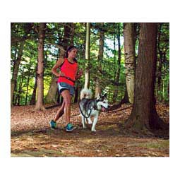 Jogging Dog Leash Black - Item # 46817