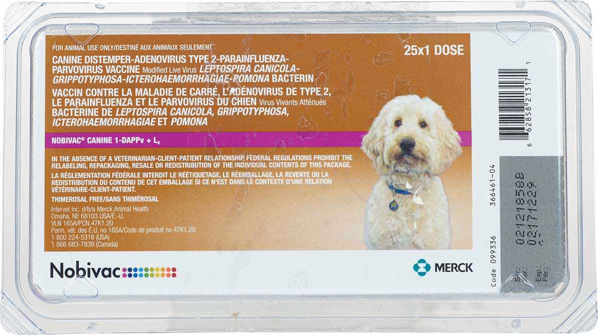 Nobivac Canine 1-DAPPV-L4 Dog Vaccine Merck - Dog Vaccines | Vaccines | Pet