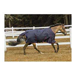 TuffRider Comfy 1200D Winter Horse Blanket Navy - Item # 46911