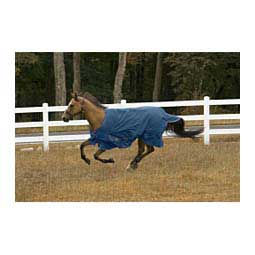 TuffRider Comfy 1200D Winter Horse Blanket Palace Blue - Item # 46911