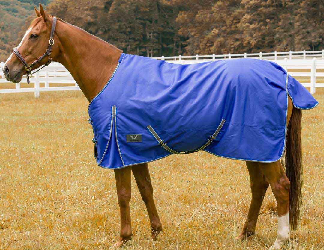 TuffRider Comfy 600D Winter Horse Blanket Tuffrider Turnout
